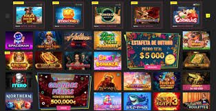 23bet